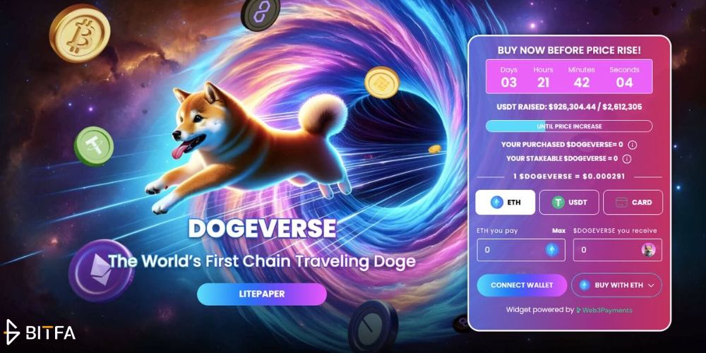 DogeVerse: میم کوینی نوآورانه با قابلیت جهش بین بلاکچین‌ها