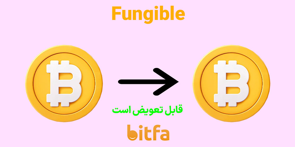 مفهوم قابل تعویض Fungible