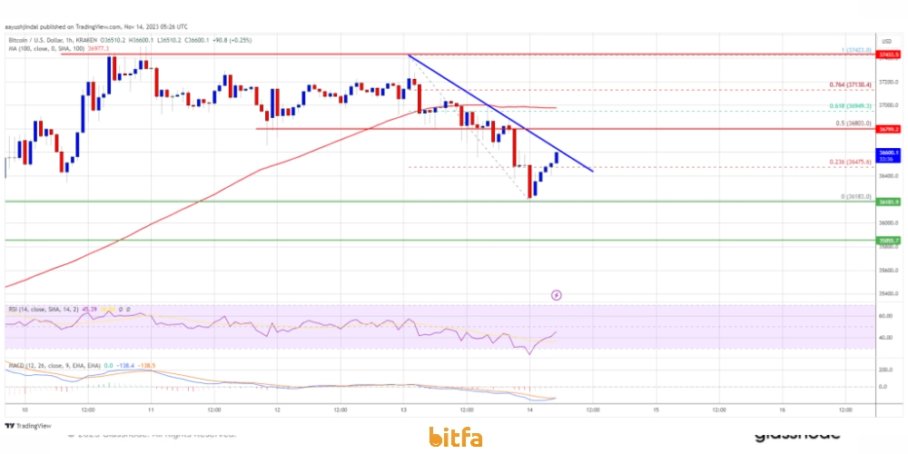 نمودار قیمتی بیت کوین