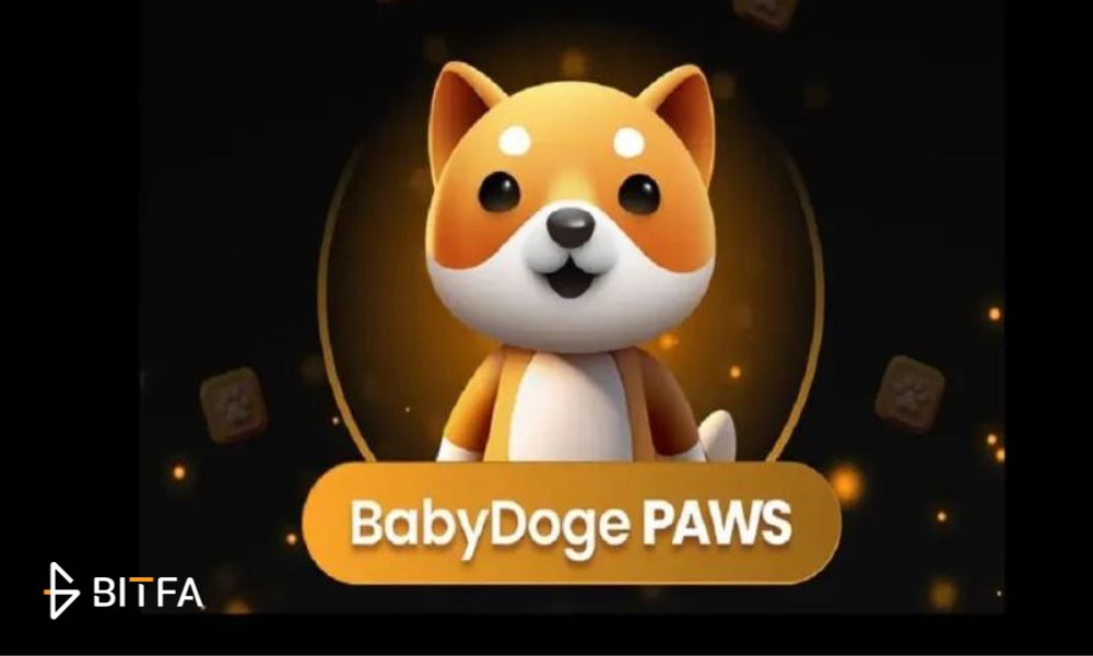 بیبی دوج کوین(BabyDoge Paw)