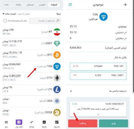 برداشت تون کوین از نوبیتکس