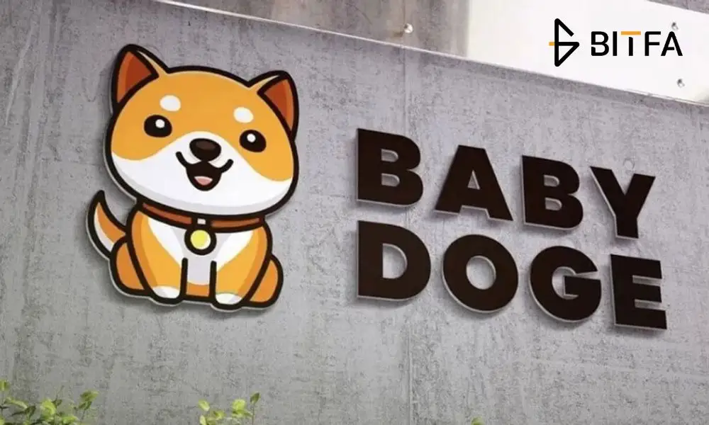 بیبی دوج (BabyDoge)