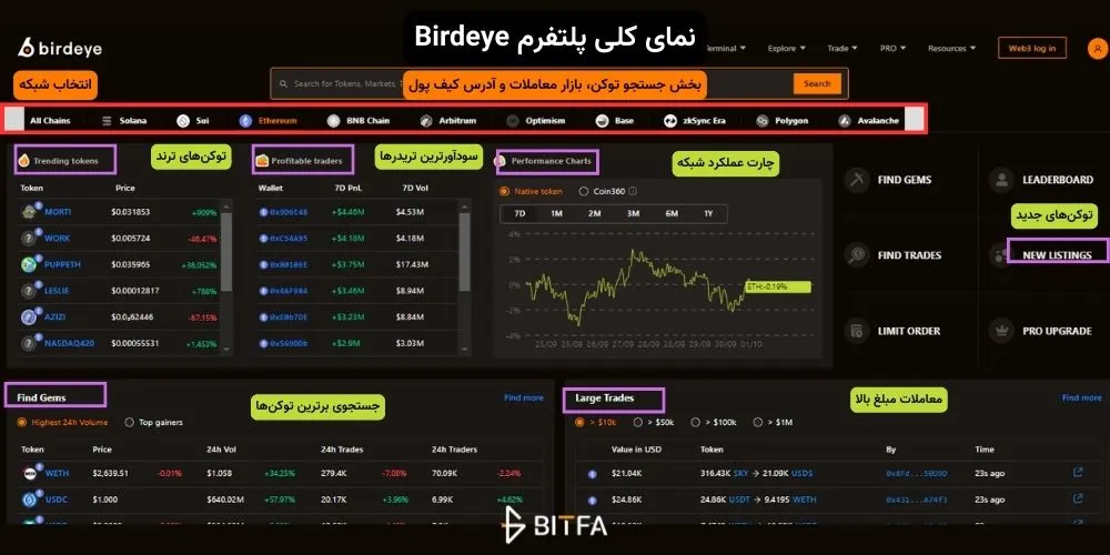 صفحه اصلی پلتفرم Birdeye