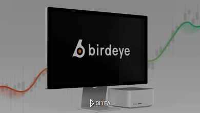 آموزش پلتفرم birdeye