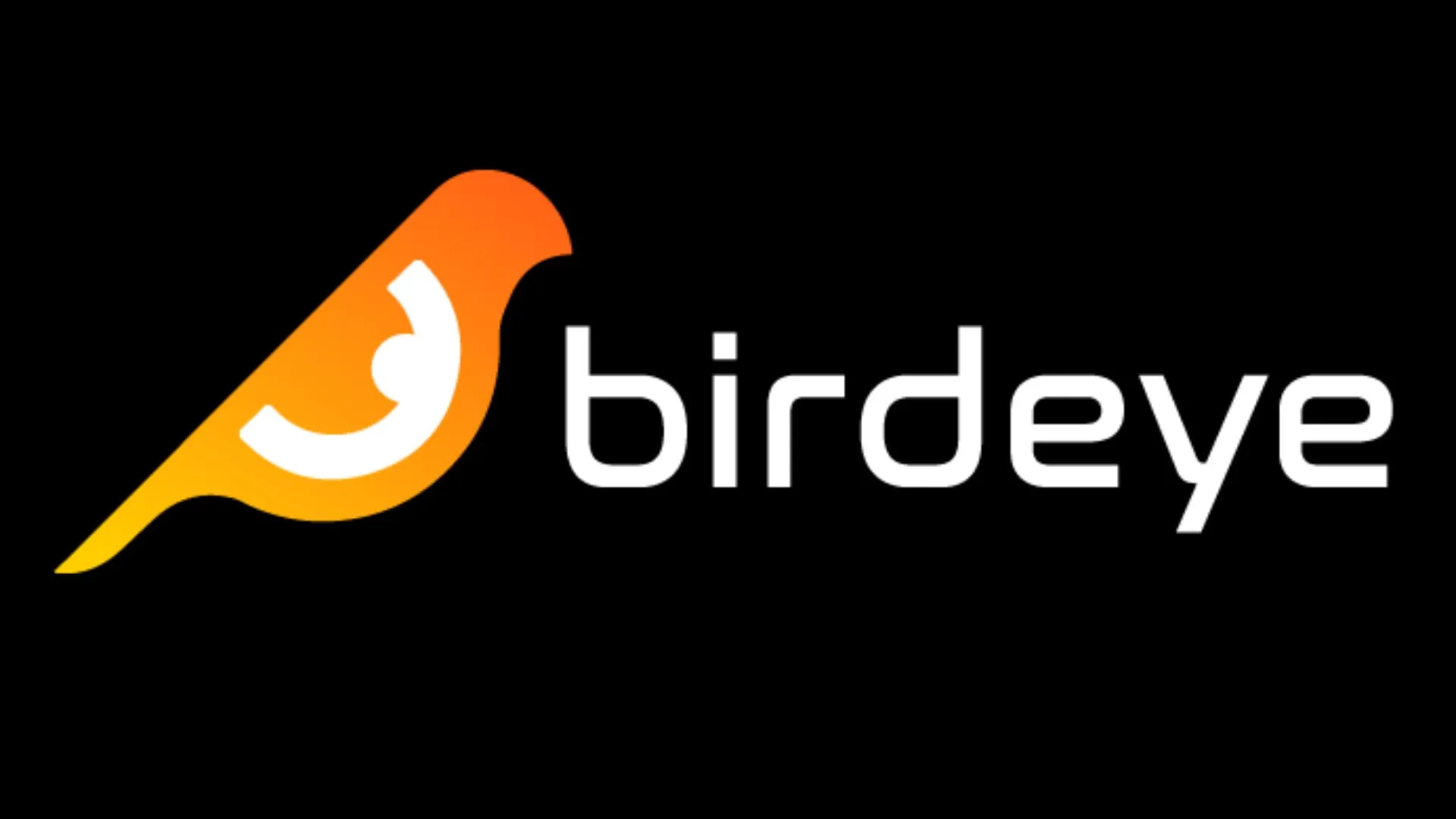 وبسایت ارائه داده و تحلیلی birdeye