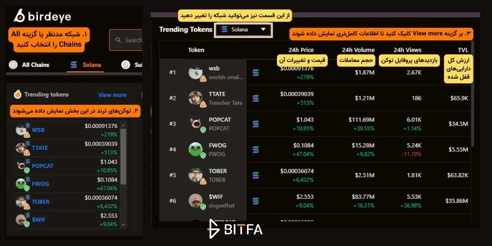 بخش توکن‌های ترند در سایت Birdeye