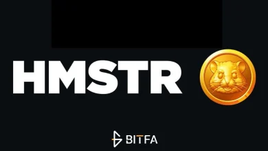 ذخایر توکن HMSTR