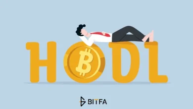 هولدر ارز دیجیتال کیست