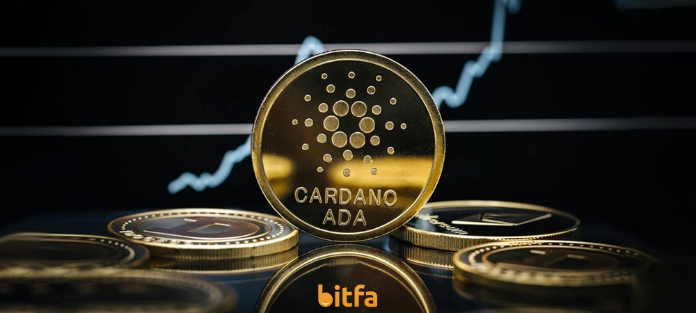 Cardano