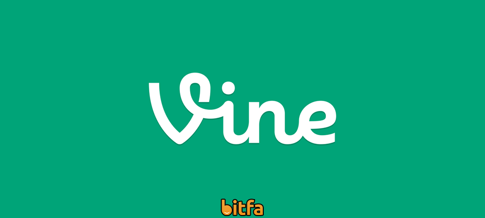 واین (Vine)