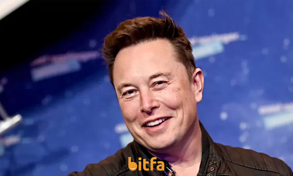 elon