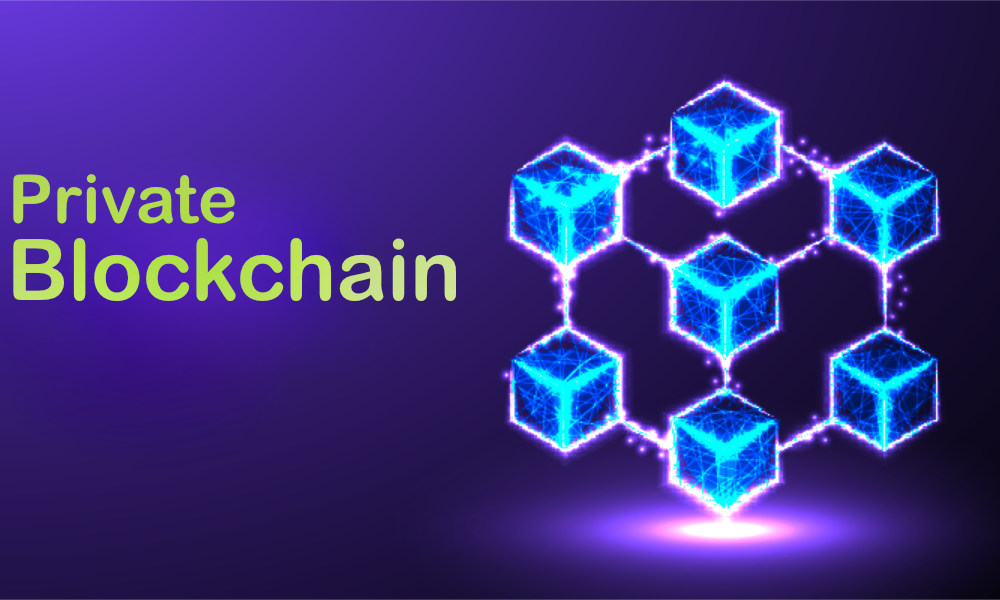 بلاکچین خصوصی (Private blockchain)