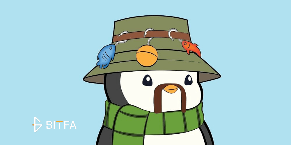 کالکشن Pudgy Penguins 