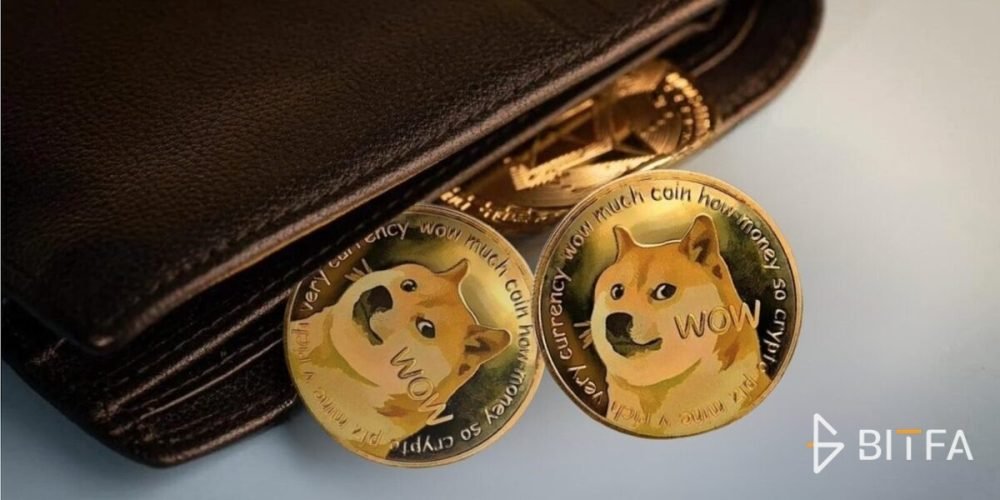 کیف پول دوج کوین