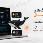شکار نهنگ‌های ارز دیجیتال با ربات Hyperliquid Whale Tracker