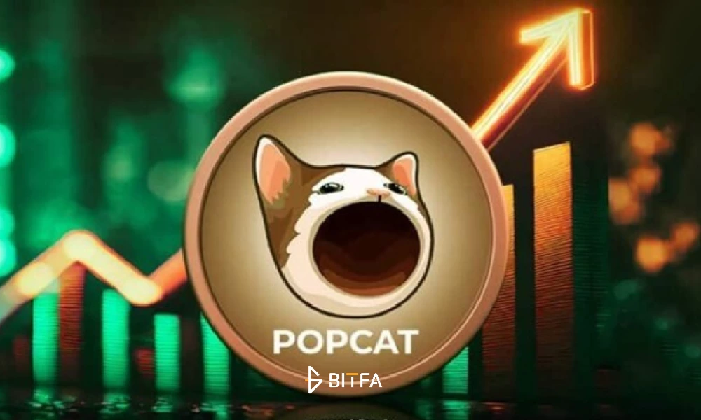 پاپ کت