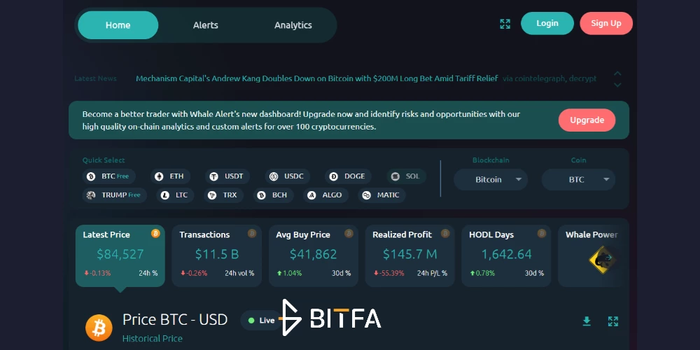 مشاهده جزئیات تراکنش در سایت Whale Alert