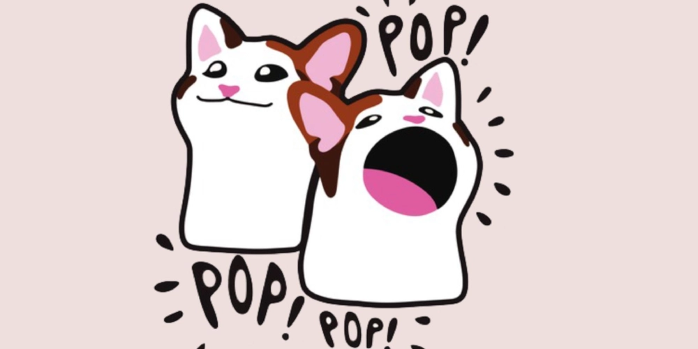 خطرات سرمایه گذاری در ارز دیجیتال &nbsp;Popcat