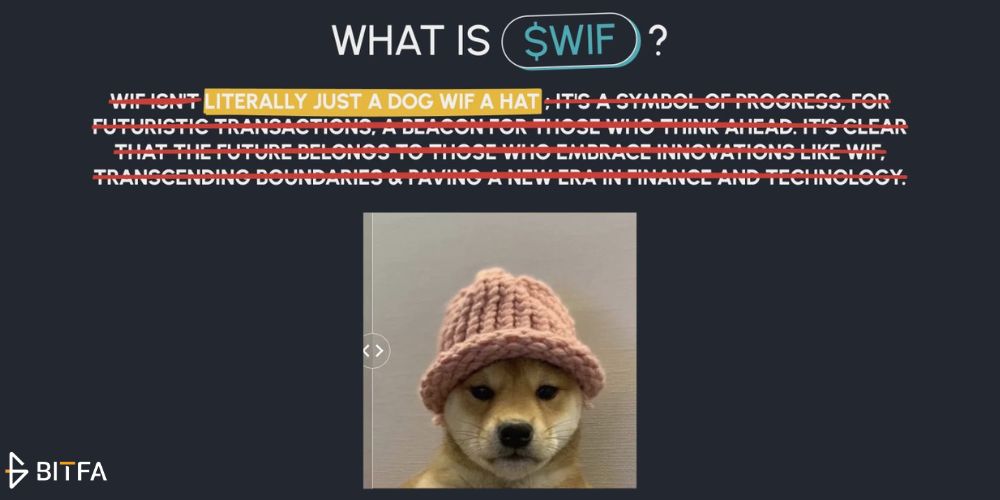 Dogwifhat: بامزه&zwnj;ترین و فعال&zwnj;ترین جامعه ارز دیجیتال