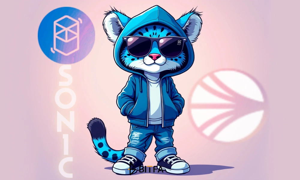 میم کوین fsonic