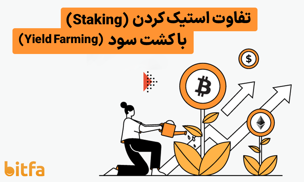 تفاوت استیک کردن با کشت سود چیست؟