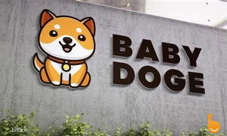 ارز دیجیتال بیبی دوج چیست؟