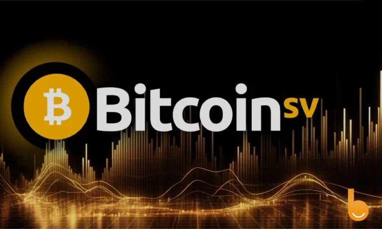 تاریخ هاوینگ بیت کوین اس وی و بررسی تاثیرات آن