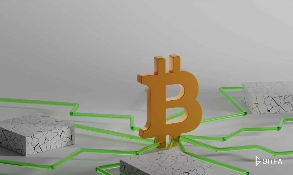 آشنایی با بیت کوین نیم سرویس (Bitcoin Name Service)