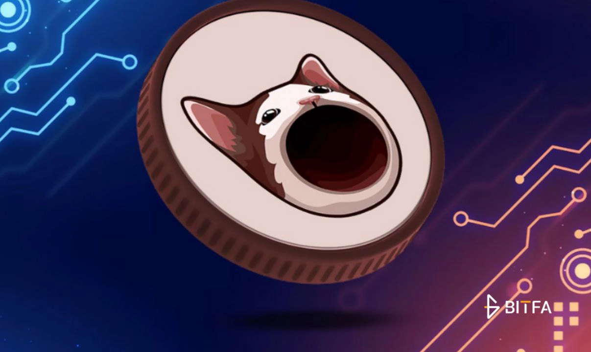 ارز دیجیتال Popcat چیست؟ آشنایی با میم کوین پاپ کت