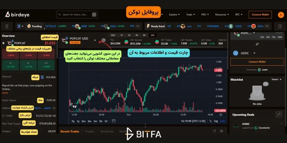 پروفایل توکن در پلتفرم Birdeye