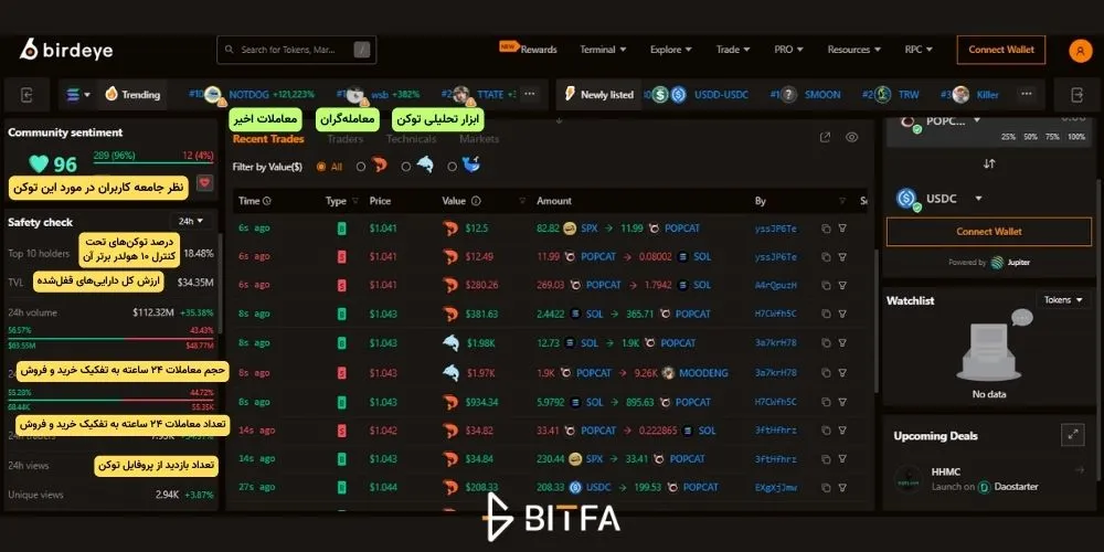 پروفایل توکن در پلتفرم Birdeye
