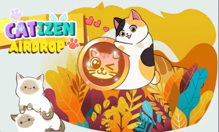 مشخص شدن معیارهای ایردراپ کتیزن (Catizen)