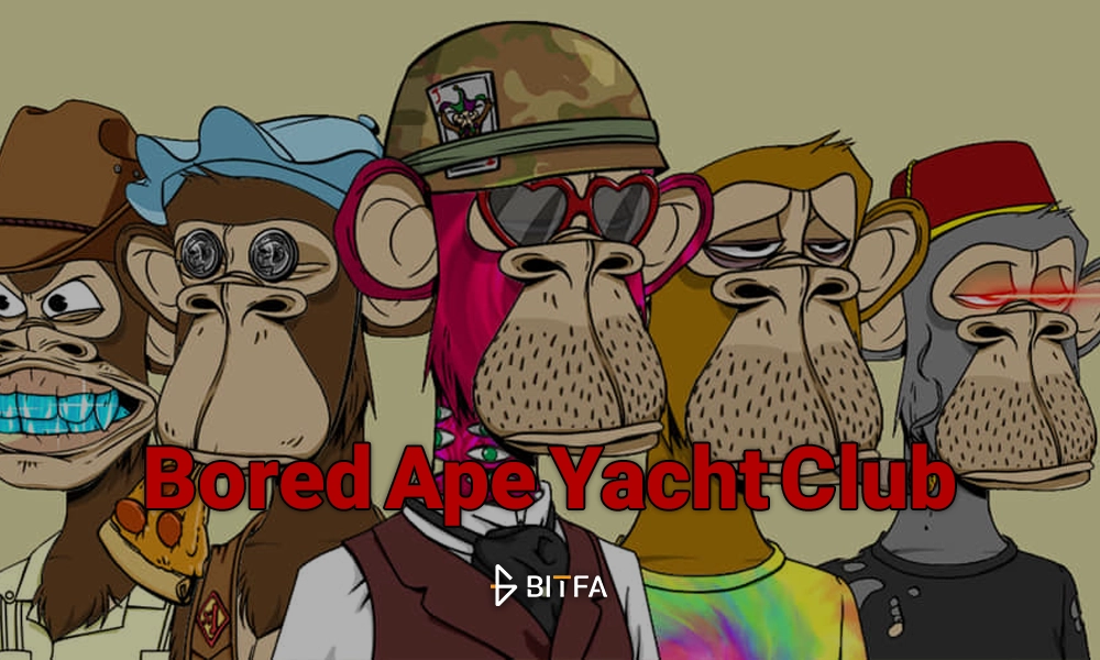 میمون‌ های کسل چیست؟ همه چیز درباره مجموعه NFT Bored Ape Yacht Club