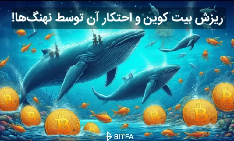 علت ریزش بیت کوین به زیر ۵۸ هزار دلار چه بود؟ انباشت و خرید نهنگ‌ها از خرده فروشان!