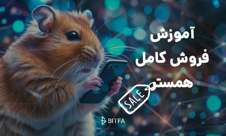 فروش همستر کامبت؛ آموزش کامل مراحل نقد کردن همستر کامبت به روش ساده