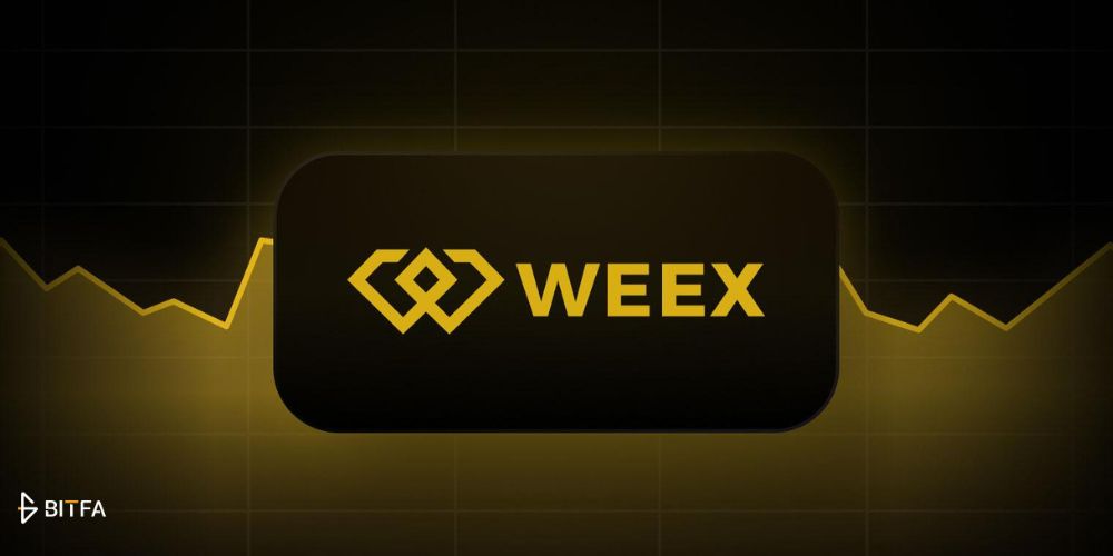 نقد و بررسی صرافی ویکس