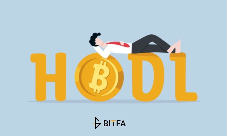 هولد کردن ارز دیجیتال (HODL) چیست؟ هولدر ارز دیجیتال کیست؟