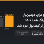نهنگ کریپتو برای دومین‌بار طعمه فیشینگ شد؛ ۲۵.۶ میلیون دلار از کیف‌پول دود شد