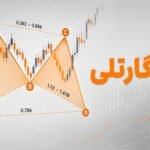 الگوی گارتلی