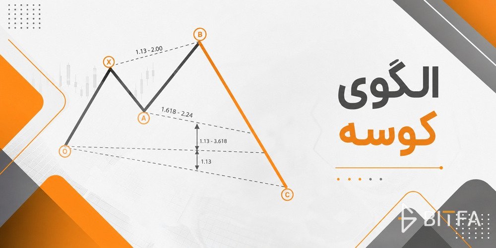 الگوی کوسه